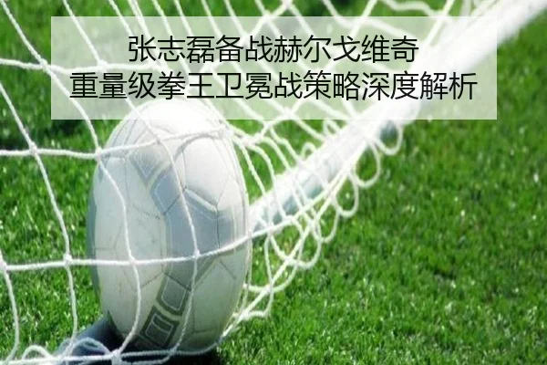张志磊备战赫尔戈维奇 重量级拳王卫冕战策略深度解析