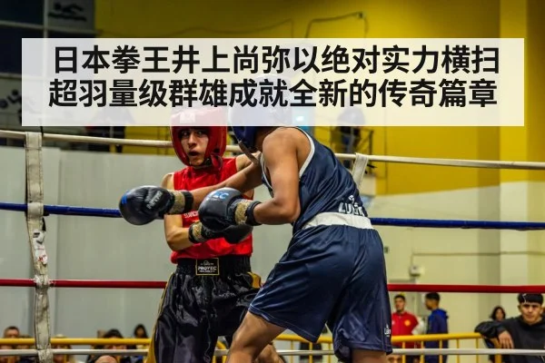 boxer in ring
